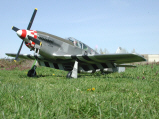 KirkSlftf51c.jpg (143244 bytes)
